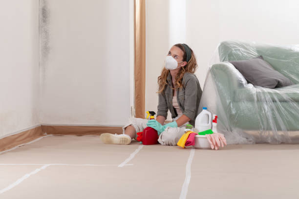 Reliable Black Mold Remediation contractor in Warrington, FL by 24 Hour Mold Removal